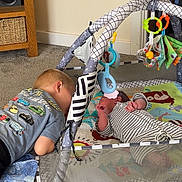 Hudson is registered to the contest to win money with this photo: baby, toddler, playpen, toy_arch, carpet, indoor, child, furniture, wooden_cabinet, baby_toys, striped_clothing, curious, floor, cup, patterned_blanket, infant, crawling, home, sibling, cute
