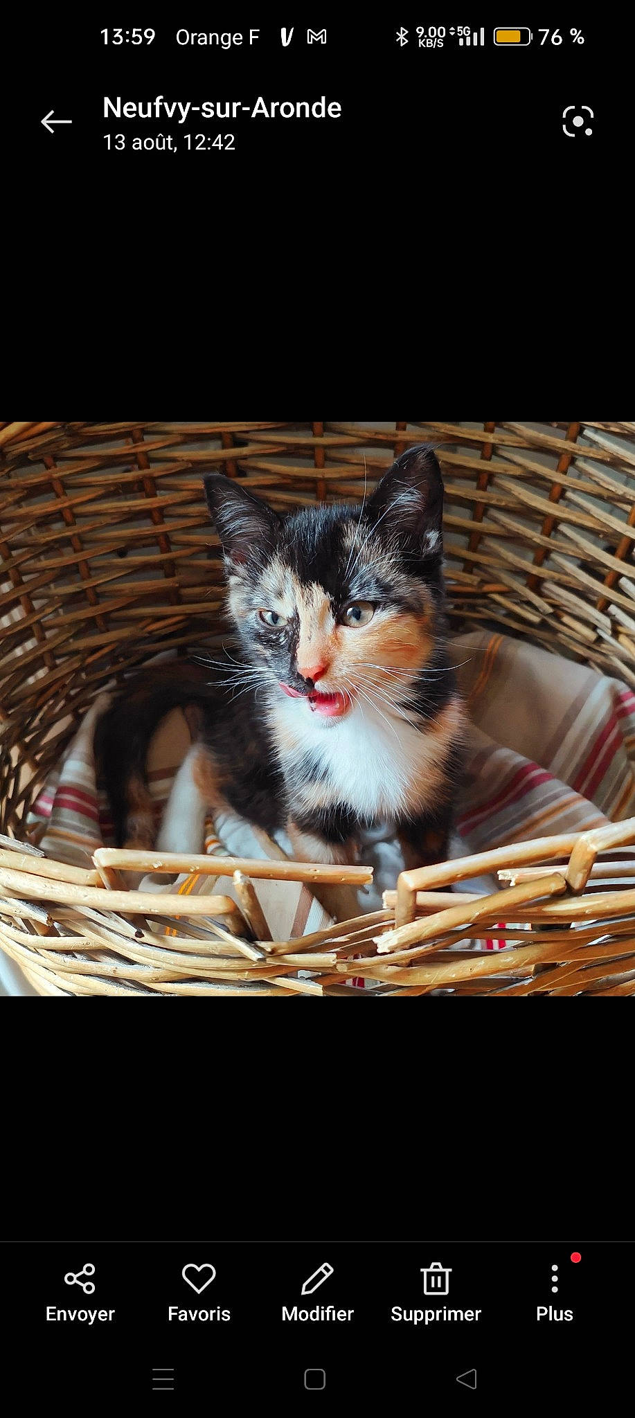 Una a rejoint le concours — aidez-le/la à gagner de superbes lots ! basket, bowl, box, cardboard, carnivore, cat, cat_furniture, cat_supply, claw, domestic_short_haired_cat, felidae, fur, pet_supply, photo_caption, sitting, small_to_medium_sized_cats, snout, whiskers, wicker, wood