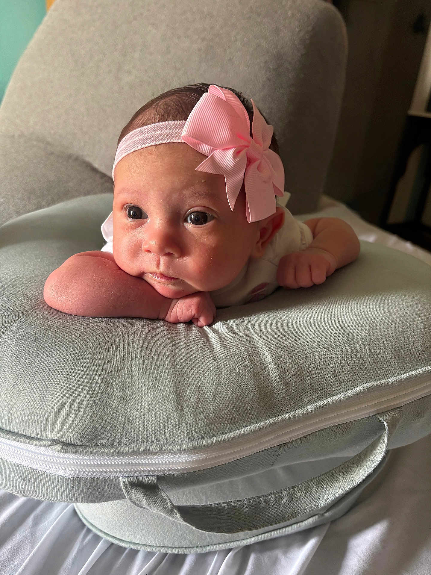 Eleanna is registered to the contest to win money with this photo: baby, infant, headband, pink_bow, cushion, gray, soft, face, portrait, child, cute, resting, indoors, closeup, newborn, person, expression, skin, small_hands, lying_down