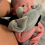 Eleanna joined the competition — help win amazing prizes! arm, baby, black_clothing, child, close_up, comfort, cozy, cuddle, elephant, eyes, face, fingers, hand, indoor, infant, plush_toy, skin, soft_texture, stuffed_animal, tattoo