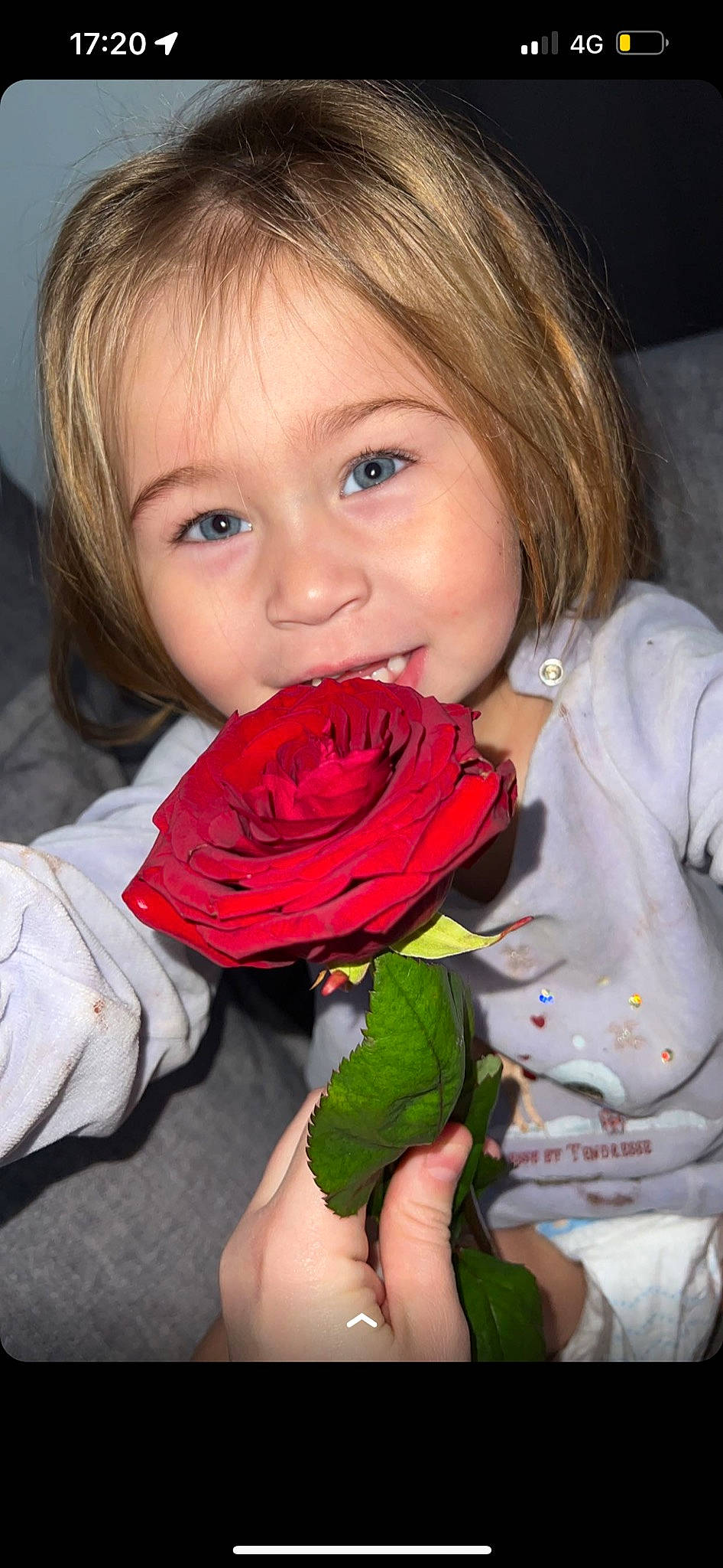 Inaya a rejoint le concours — aidez-le/la à gagner de superbes lots ! child, dress, eye, finger, flash_photography, flower, hand, happy, human_body, hybrid_tea_rose, iris, lip, person, petal, pink, plant, rose, skin, smile, toddler