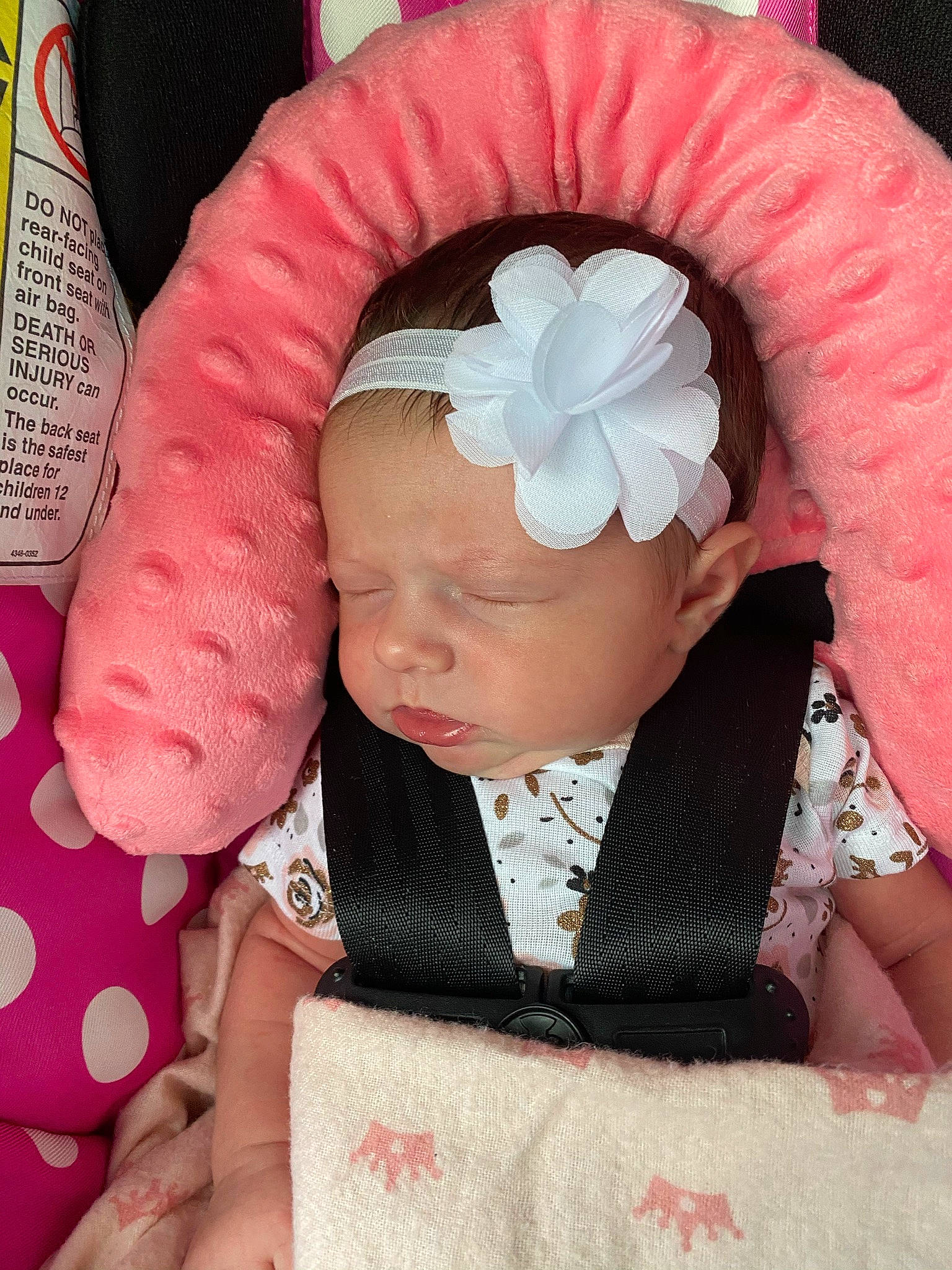 Lakyn is registered to the contest to win money with this photo: baby, baby_products, baby_sleeping, baby_toddler_clothing, cheek, child, comfort, fashion_accessory, flower, hair_accessory, headband, headpiece, pattern, person, petal, pink, product, skin, sleeve, textile