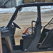 Boss joined the competition — help win amazing prizes! dog, sleeping, vehicle, farm, hay_bales, snow, outdoor, rural, orange_jacket, seat, resting, winter, agriculture, off_road_vehicle, furry_pet, canine, animal, nature, relaxation, daytime
