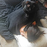 Echo joined the competition — help win amazing prizes! black_cat, person, sleeping, bed, blanket, pillow, paw, resting, cozy, indoor, hair, face, comfort, cat, animal, pet, relaxation, home, furniture, blanket_texture