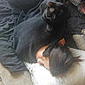 black_cat, person, sleeping, bed, blanket, pillow, paw, resting, cozy, indoor, hair, face, comfort, cat, animal, pet, relaxation, home, furniture, blanket_texture