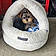 Kobe Carter Hartle