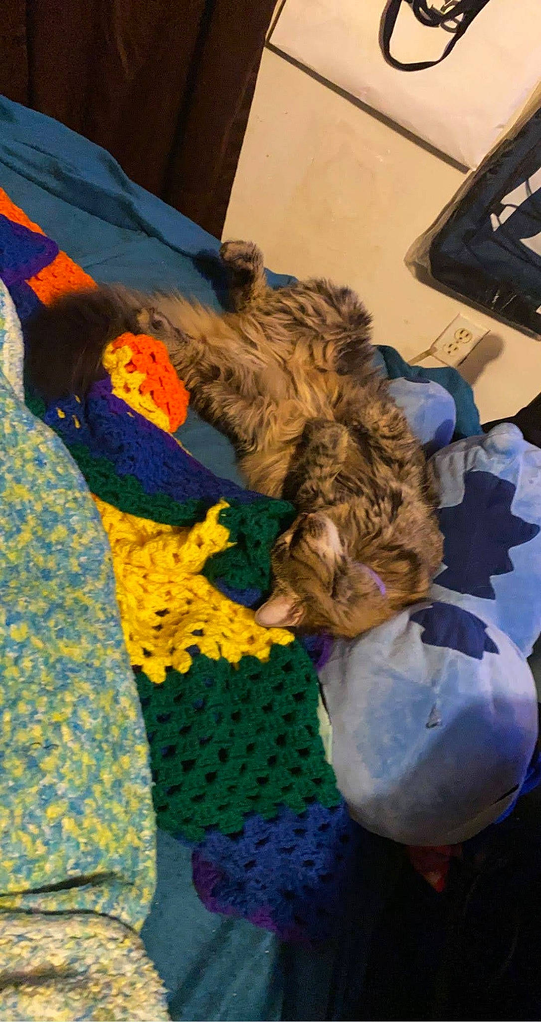 Smoke is registered to the contest to win money with this photo: art, craft, electric_blue, felidae, fun, fur, knitting, linens, pattern, room, small_to_medium_sized_cats, sporting_group, textile, thread, toy, tree, visual_arts, wool, woolen, woven_fabric