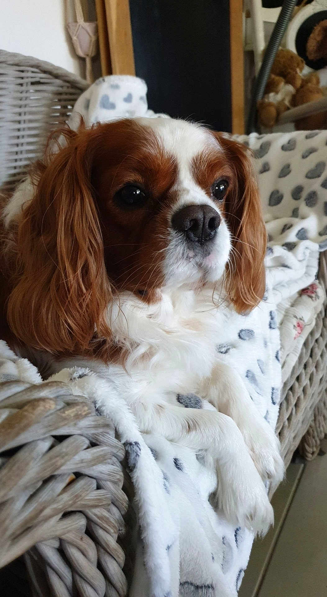 Jack