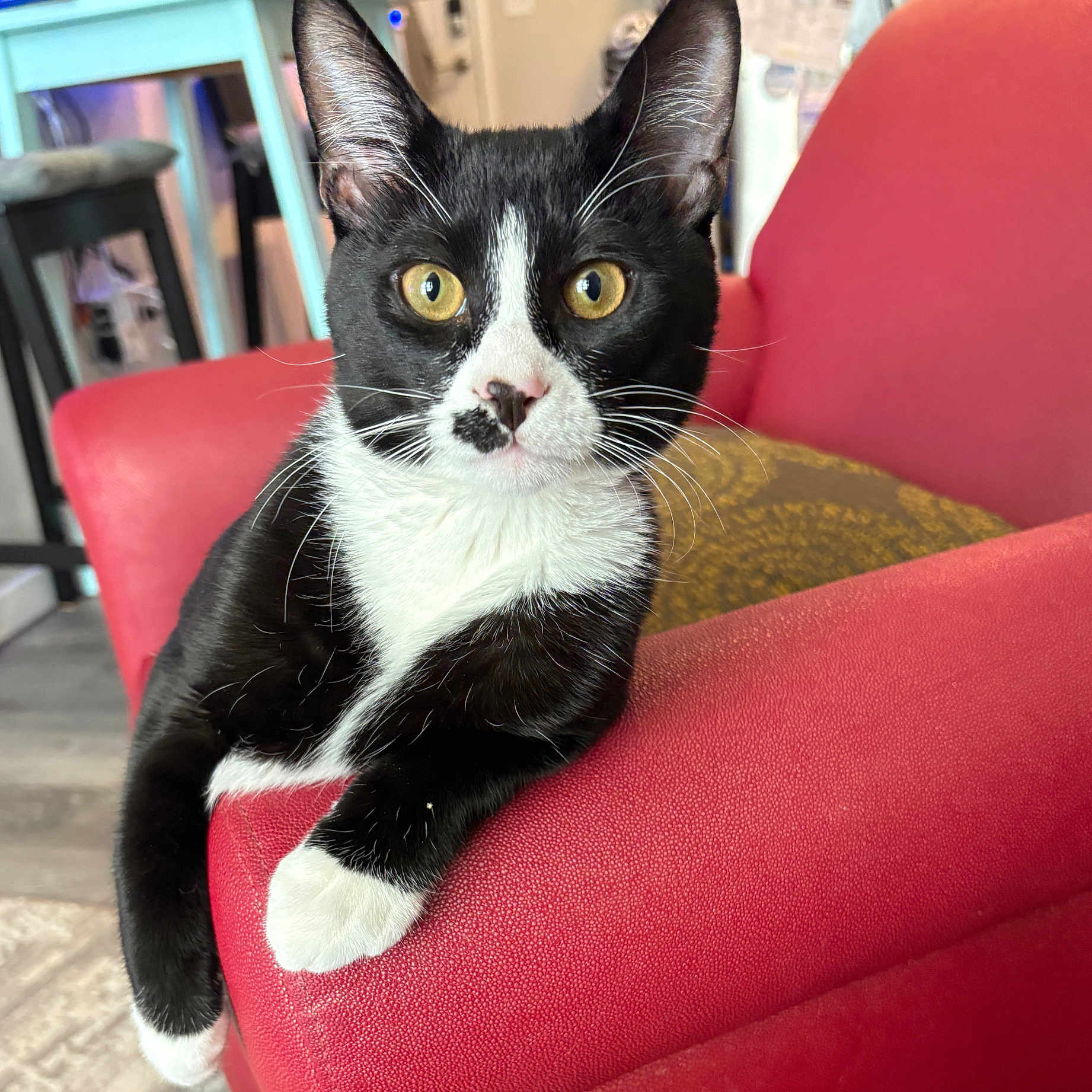 Tux