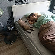 Pépète a rejoint le concours — aidez-le/la à gagner de superbes lots ! basketball, bed, blanket, casual, cat, charging_cable, floor, furniture, headboard, home, indoor, lamp, mural, person, pillow, relaxing, resting, sleeping, table, technology