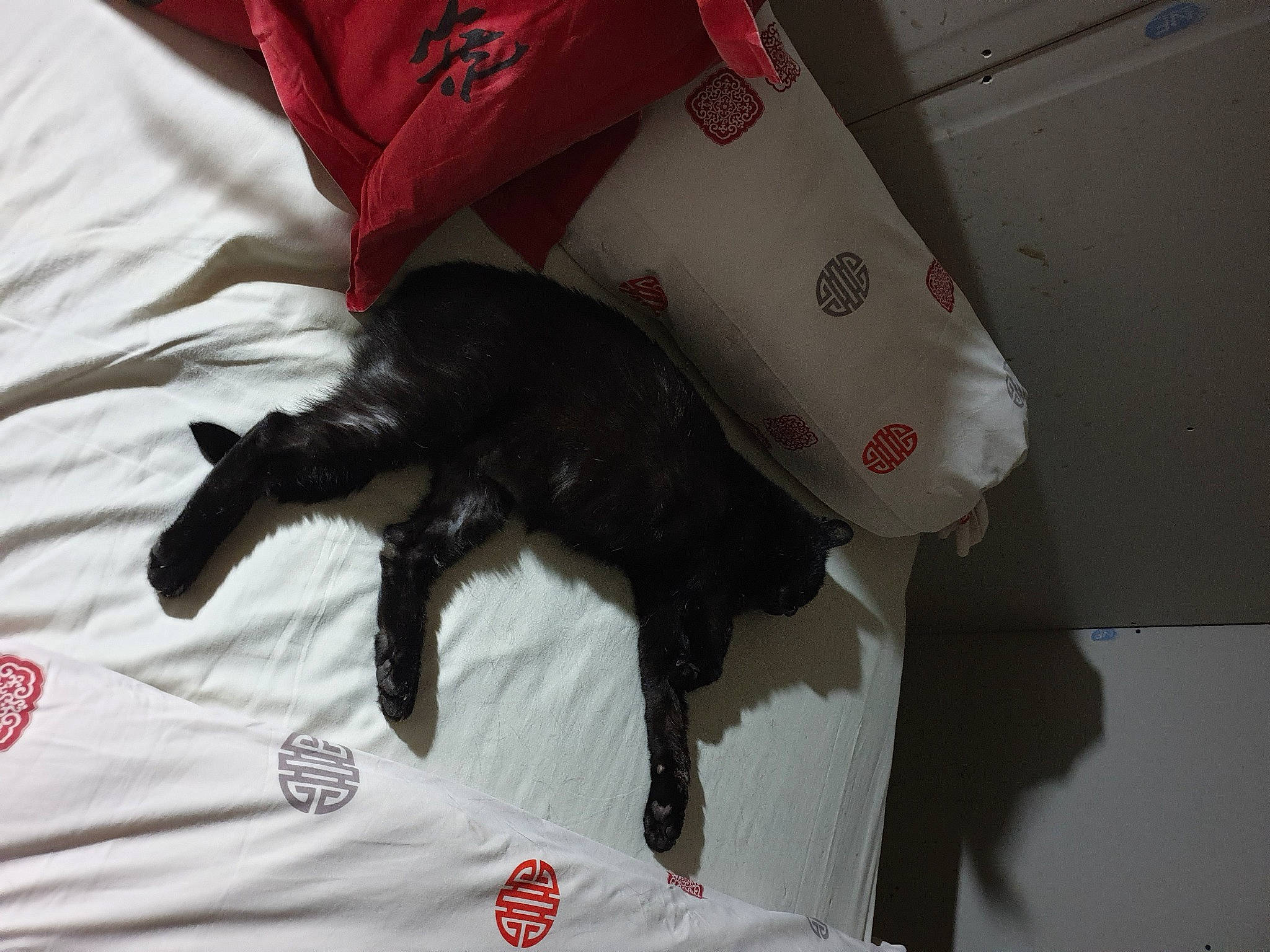 Sherkan participe au concours pour gagner de l'argent avec cette photo : bed, bedding, black_cat, canidae, carmine, carnivore, cat, claw, comfort, dog_breed, domestic_short_haired_cat, felidae, fur, linens, room, small_to_medium_sized_cats, tail, whiskers, working_animal