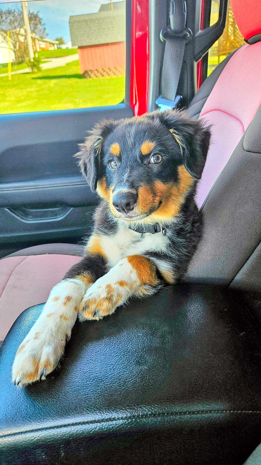 Ollie