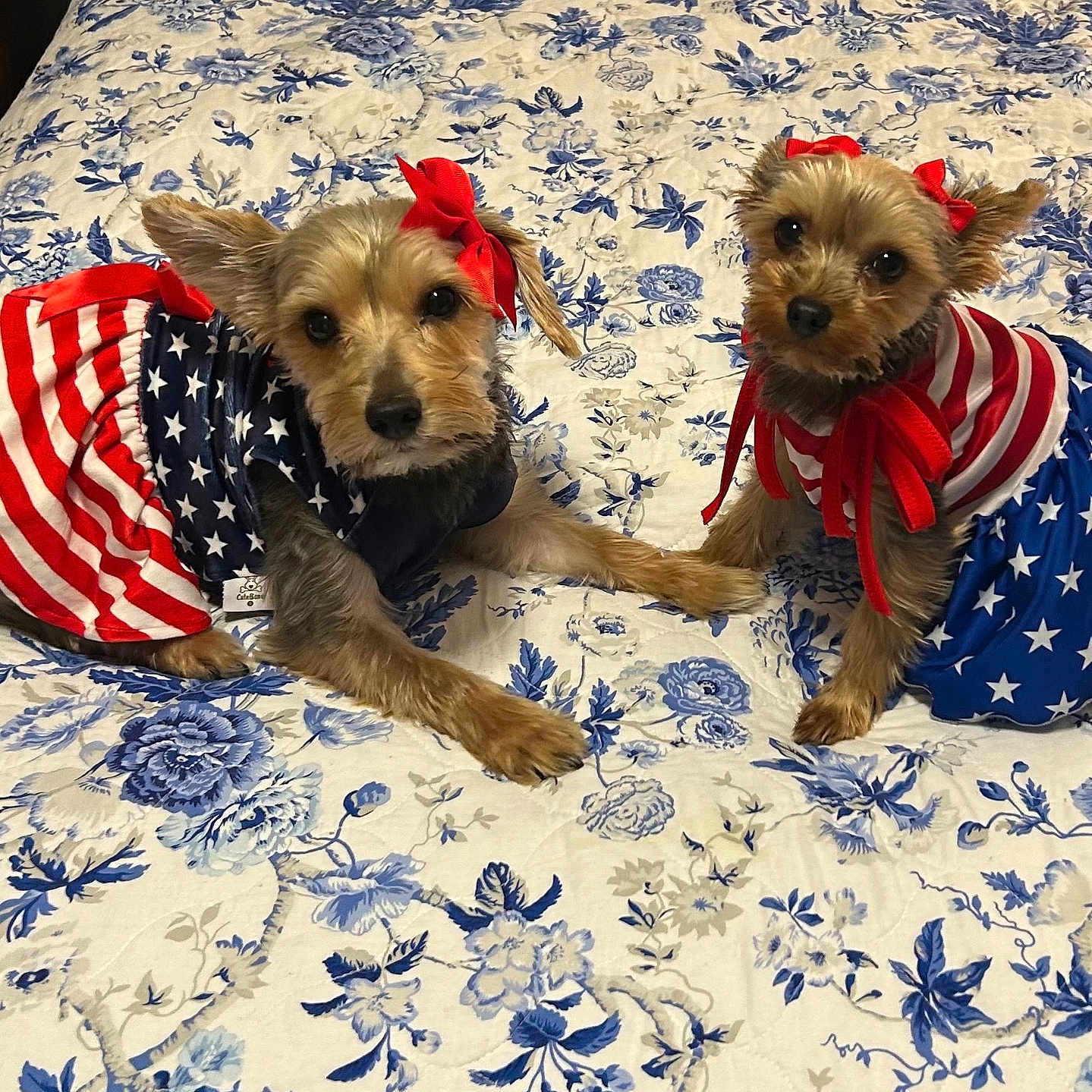 Rosie And Big Rosie
