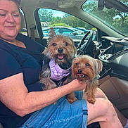 Rosie And Big Rosie joined the competition — help win amazing prizes! car_interior, casual_clothing, dashboard, daylight, dog, happy, harness, holding, parking_lot, pet, seat, seatbelt, shorts, smiling, sunlight, tongue_out, trees, window, woman, yorkshire_terrier
