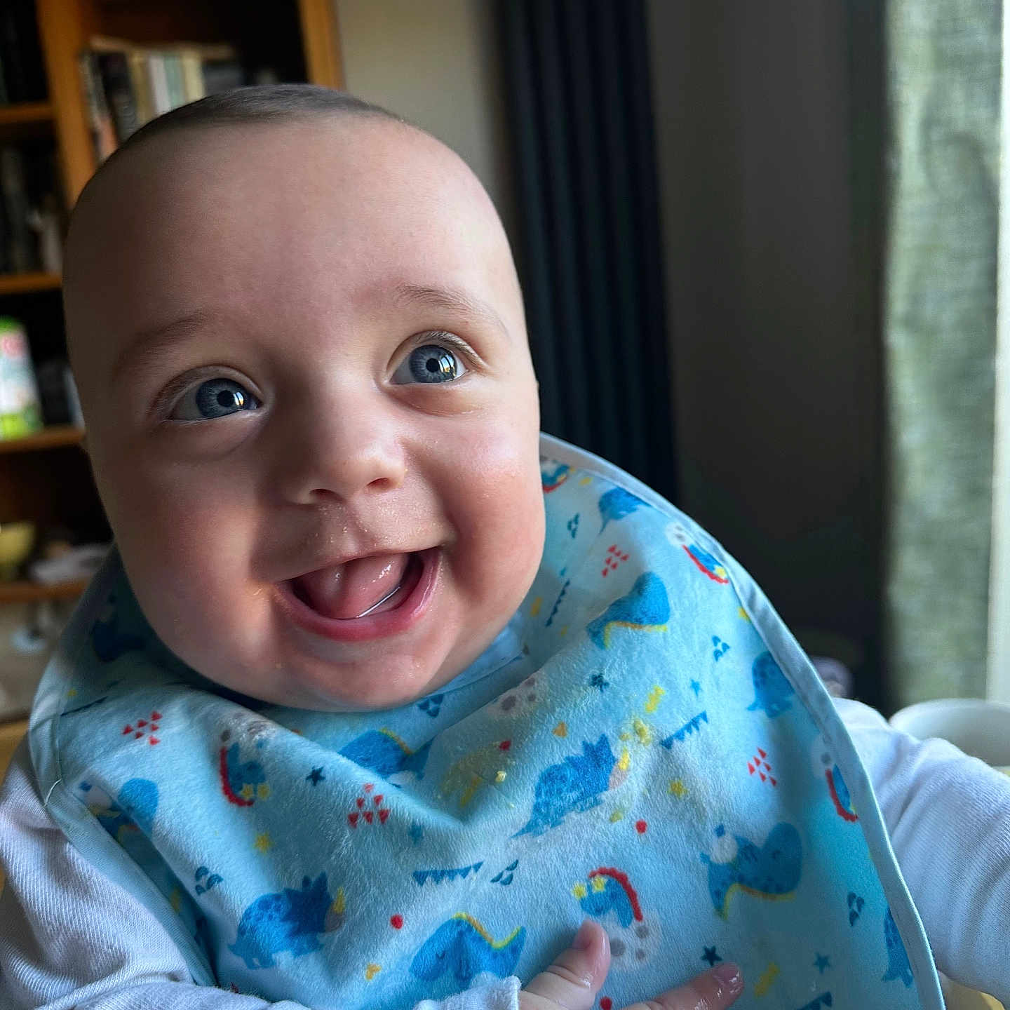 Isaac-George joined the competition — help win amazing prizes! baby, bib, blue_eyes, child, curtains, cute, dinosaur_pattern, expression, face, furniture, hand, happy, home, indoor, infant, natural_light, portrait, smiling, white_sleeves, window