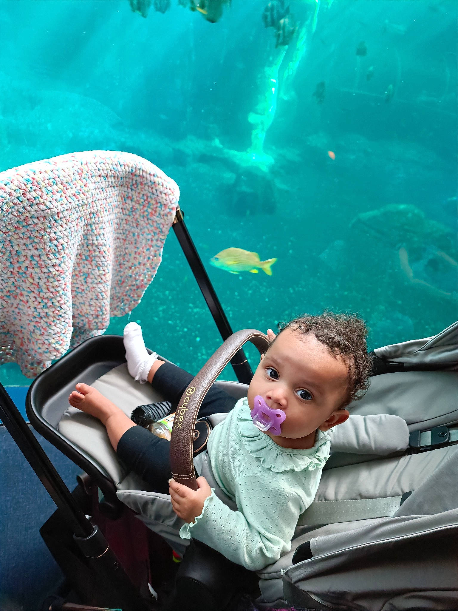 Yliana participe au concours pour gagner de l'argent avec cette photo : aquarium, auto_part, baby_products, child, cloud, comfort, electric_blue, fin, fish, leisure, marine_biology, ocean, person, recreation, sitting, toddler, travel, underwater, vertebrate, water