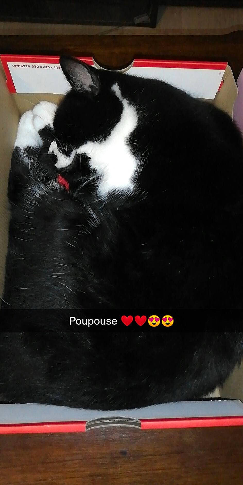 Poupouse