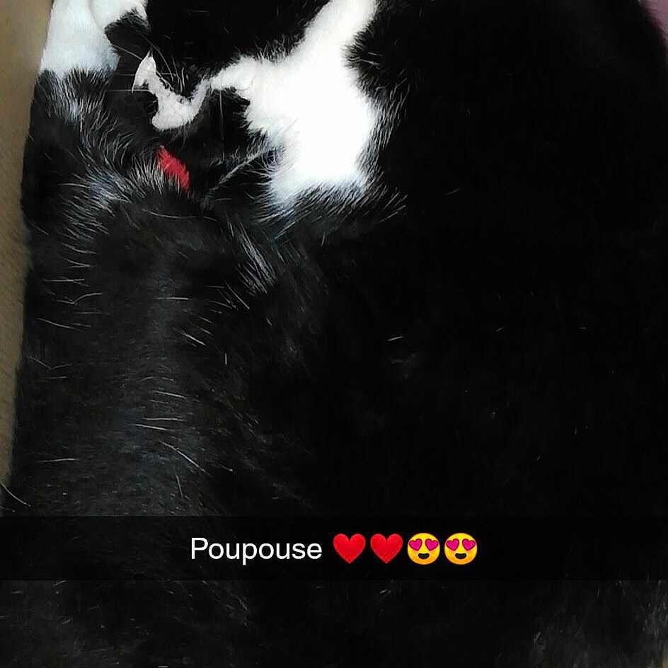 Poupouse