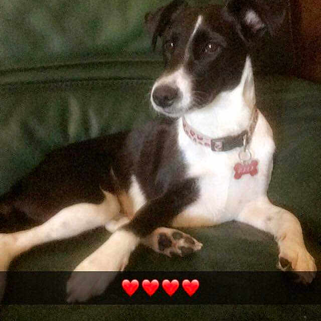 Nala