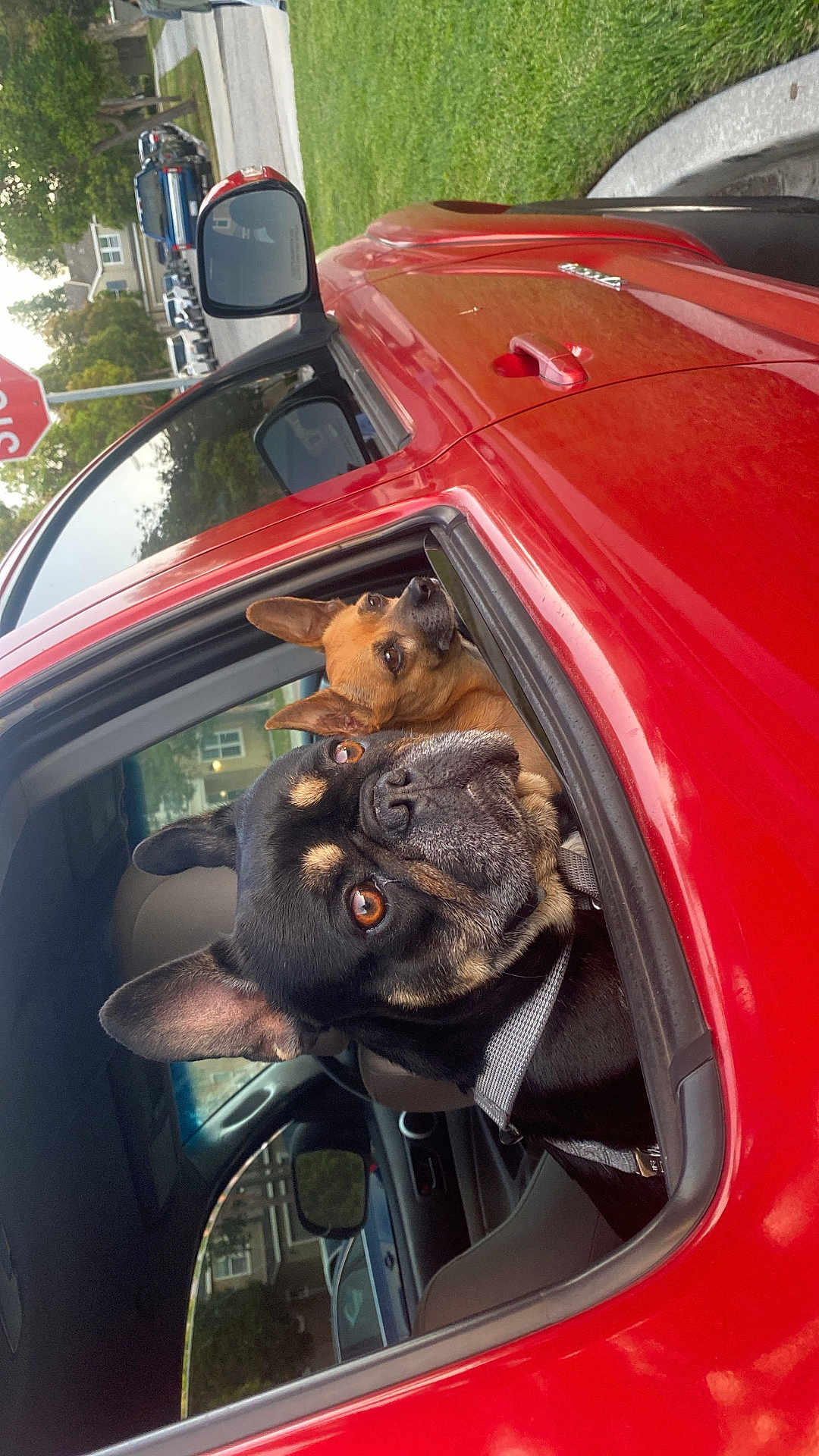 Peanut And Billy