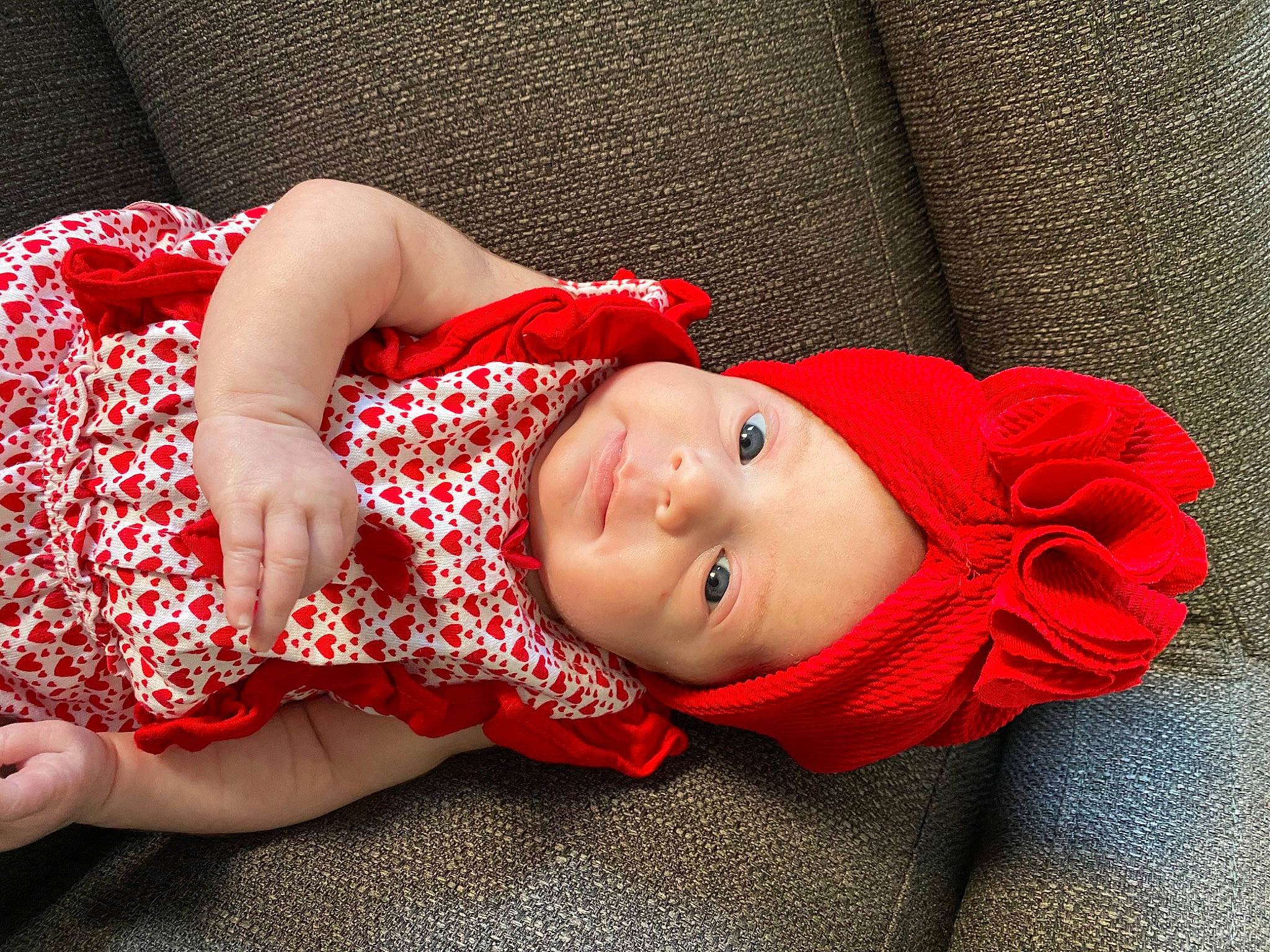 Ariane participe au concours pour gagner de l'argent avec cette photo : baby, beauty, child, child_model, dress, flower, headwear, lip, outerwear, pattern, person, petal, photo_shoot, photography, plant, red, rose, skin, toddler