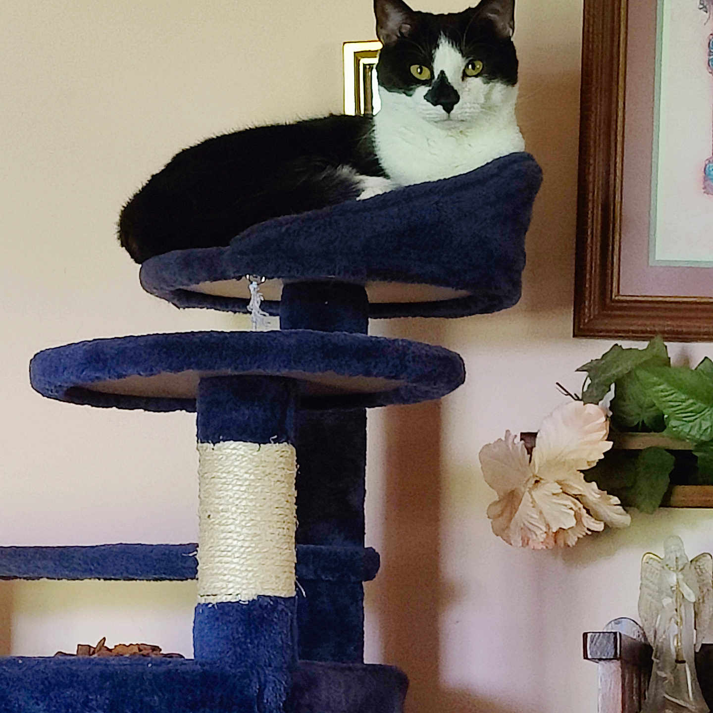 Pepe' Le Pew