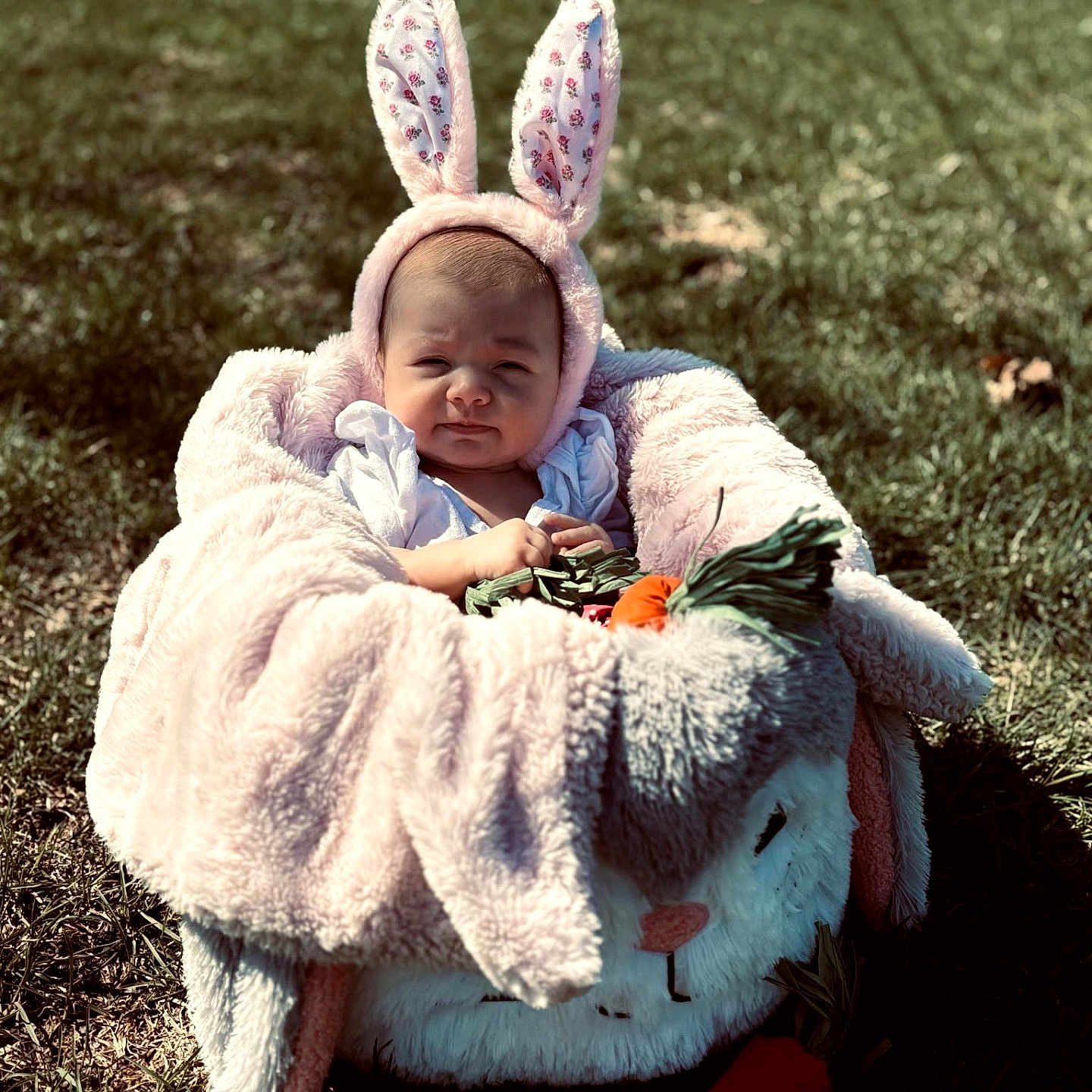 Brooklynn is registered to the contest to win money with this photo: baby, bunny_ears, plush_blanket, carrot_toy, outdoor, grass, sunlight, cute, child, infant, costume, headwear, toy, soft_texture, nature, portrait, sitting, expression, warm_clothing, animal_theme