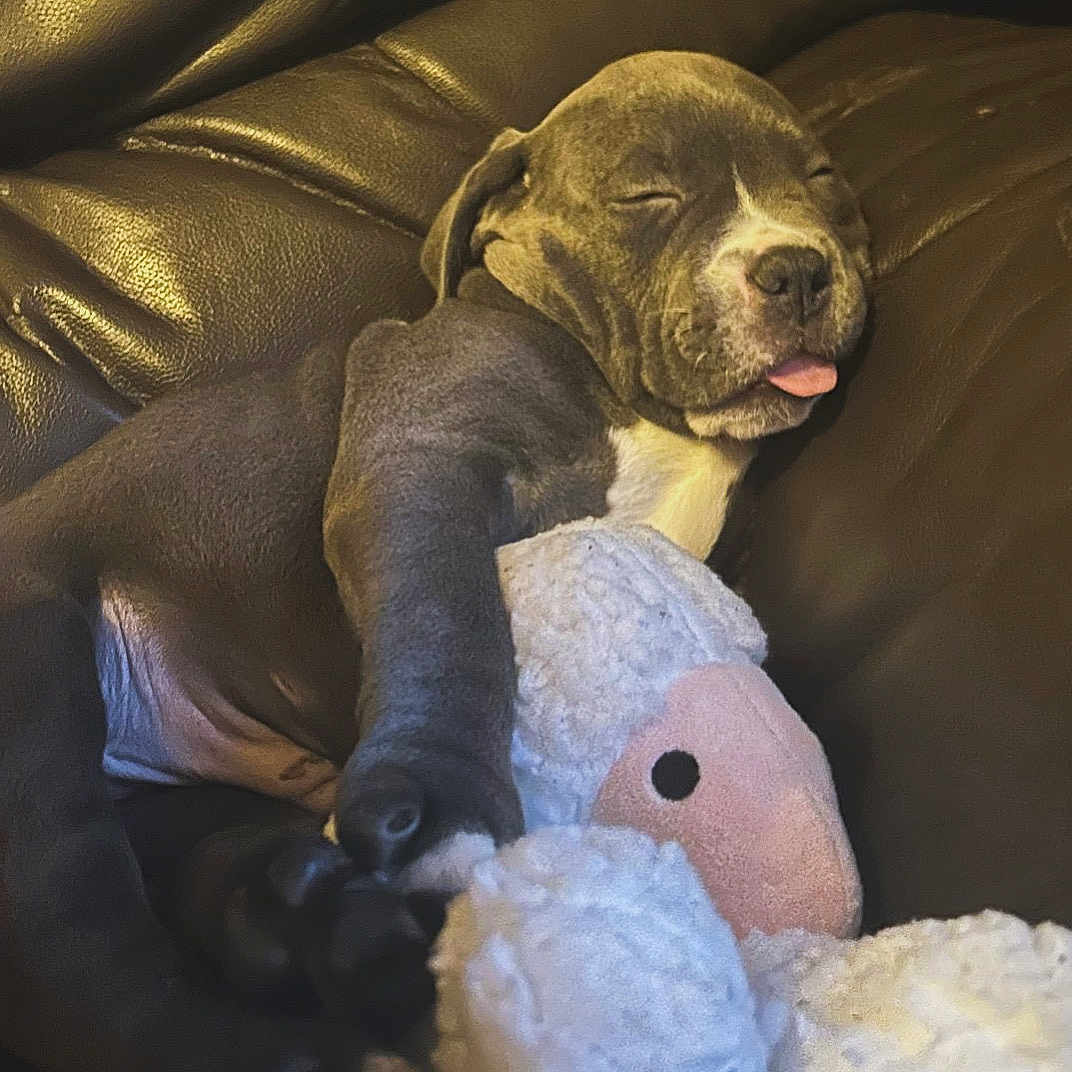Tyson