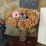 Mystic a rejoint le concours — aidez-le/la à gagner de superbes lots ! kitten, cat, flower, bouquet, hydrangea, vase, table, stone_wall, painting, sculpture, pink_flower, dried_flowers, indoor, decor, curious, pet, animal, face, still_life, wooden_surface