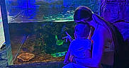 Lucas is registered to the contest to win money with this photo: child, woman, aquarium, fish, tank, blue_lighting, indoor, exhibit, rocks, water, person, shorts, casual_clothing, seated, interaction, curiosity, parent_and_child, observation, animal_exhibit, public_place