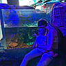child, woman, aquarium, fish, tank, blue_lighting, indoor, exhibit, rocks, water, person, shorts, casual_clothing, seated, interaction, curiosity, parent_and_child, observation, animal_exhibit, public_place