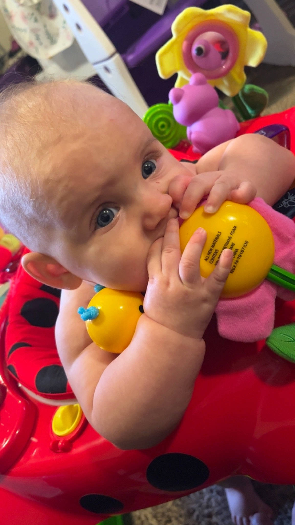 Juniper joined the competition — help win amazing prizes! bath_toy, cheek, child, facial_expression, finger, fun, happy, mouth, nail, nose, organ, people, person, photograph, pink, product, red, skin, thumb, toy