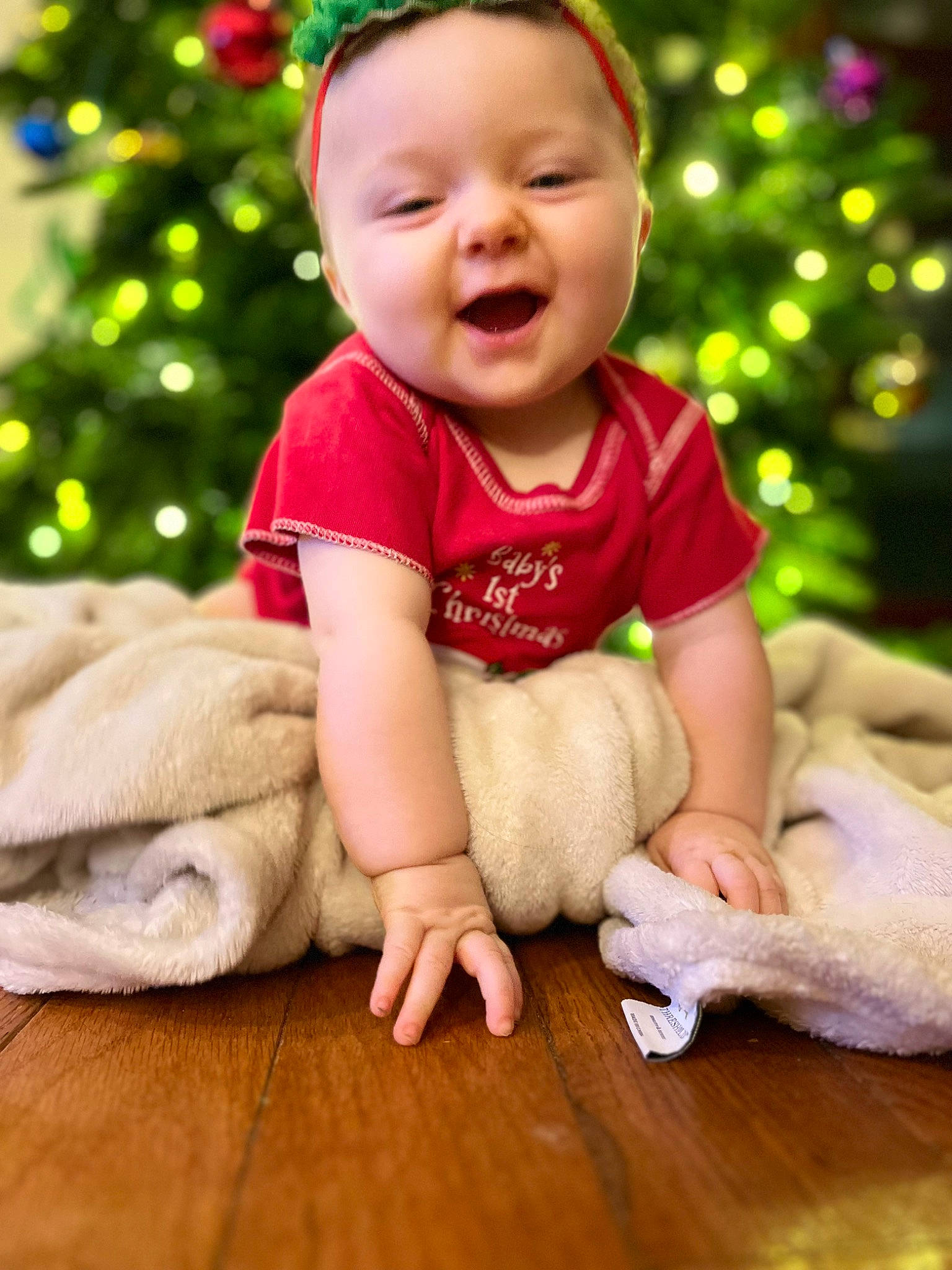 Savannah is registered to the contest to win money with this photo: baby, baby_toddler_clothing, child, christmas_tree, comfort, companion_dog, event, felidae, finger, flooring, grass, happy, hardwood, people_in_nature, person, sitting, skin, sleeve, smile, toddler