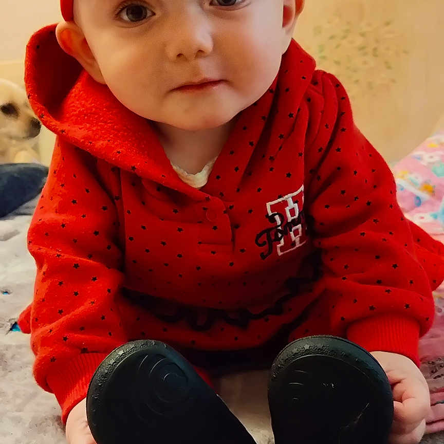 Kayley joined the competition — help win amazing prizes! animal, baby, bodypart, canine, cap, clothing, dog, face, finger, hand, hat, head, hood, hoodie, knitwear, person, photography, portrait, sweater, sweatshirt