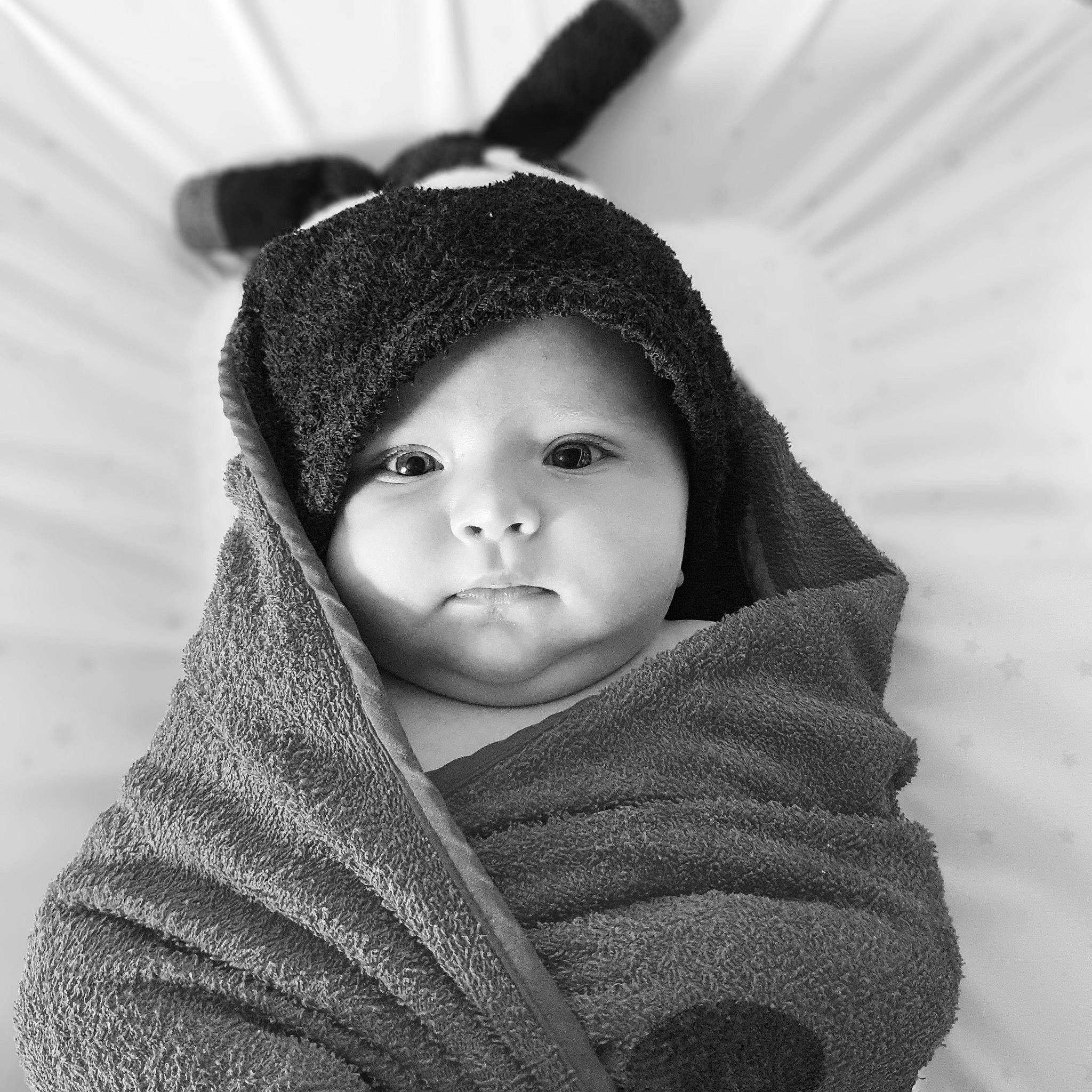 Jade a rejoint le concours — aidez-le/la à gagner de superbes lots ! baby, beauty, black, black_and_white, cheek, child, ear, eye, face, head, lip, monochrome, nose, organ, outerwear, person, photography, skin, toddler, white