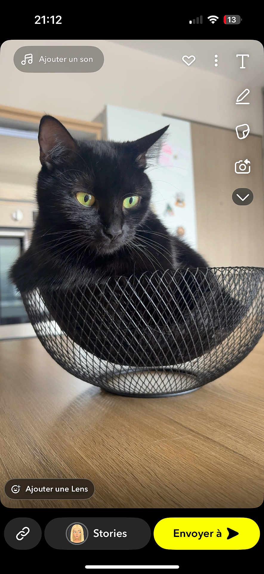Athena a rejoint le concours — aidez-le/la à gagner de superbes lots ! cat, black_cat, pet, animal, indoor, wire_basket, furniture, table, kitchen, curious, green_eyes, closeup, domestic_animal, resting, mesh, snug, cozy, home, feline, portrait
