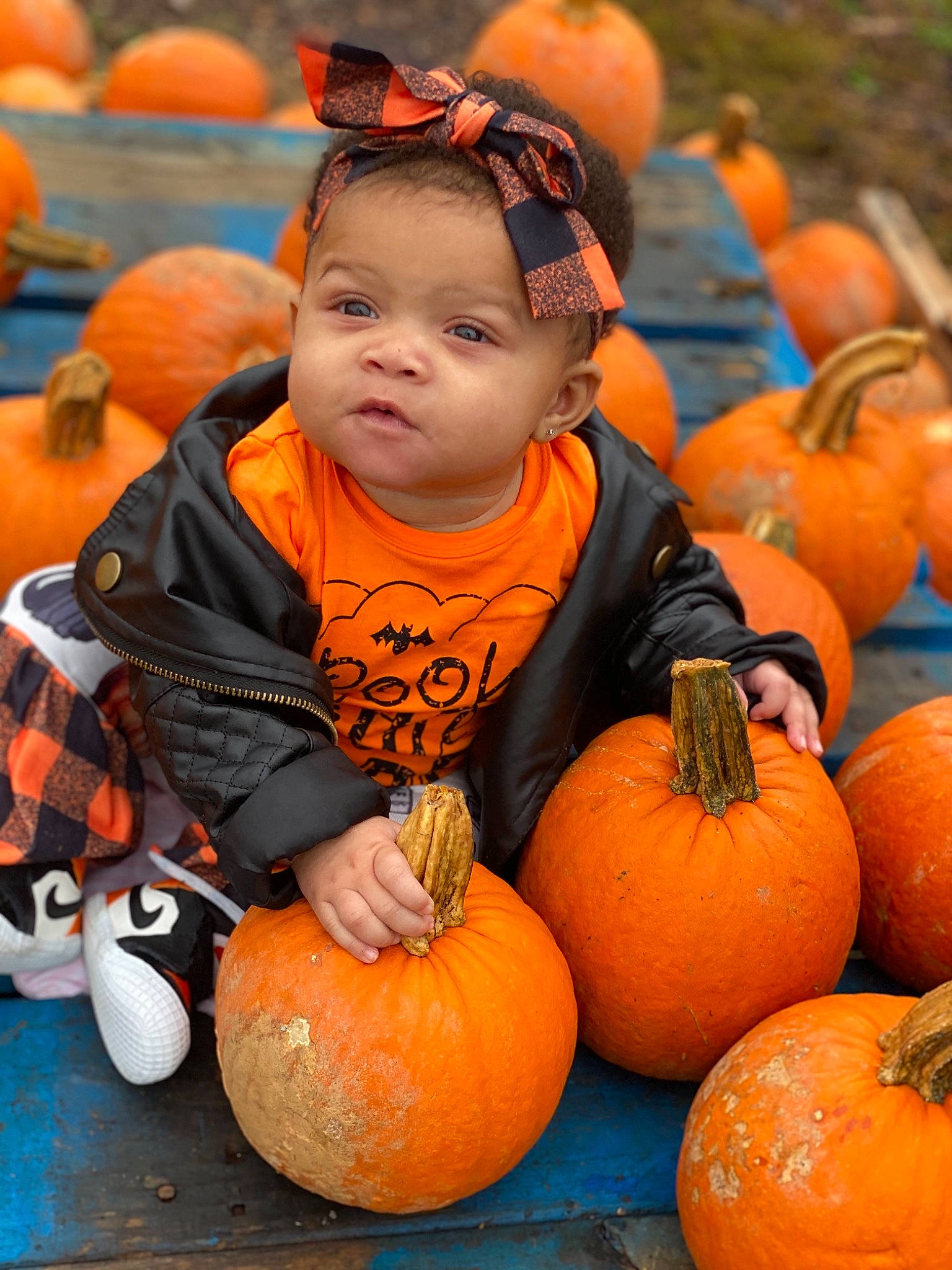 Harlee is registered to the contest to win money with this photo: _and_melon_family, _gourd, calabaza, child, cucumber, cucurbita, face, food, fruit, gourd, local_food, natural_foods, orange, person, plant, produce, pumpkin, squash, toddler, tradition