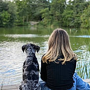 Rocky is registered to the contest to win money with this photo: dog, girl, lake, water, dock, trees, nature, outdoor, grass, sky, clouds, sitting, back_view, canine, pet, leash, casual_clothing, jeans, black_top, relaxation