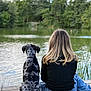 dog, girl, lake, water, dock, trees, nature, outdoor, grass, sky, clouds, sitting, back_view, canine, pet, leash, casual_clothing, jeans, black_top, relaxation