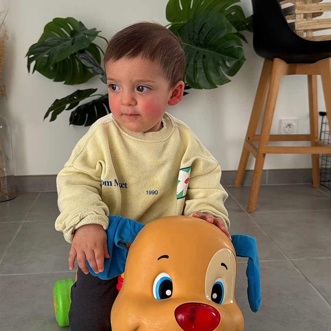 Ghjuvan participe au concours pour gagner de l'argent avec cette photo : bodypart, boy, child, couch, face, finger, furniture, hand, head, indoors, male, person, photography, plant, plywood, portrait, pottedplant, sitting, toy, wood