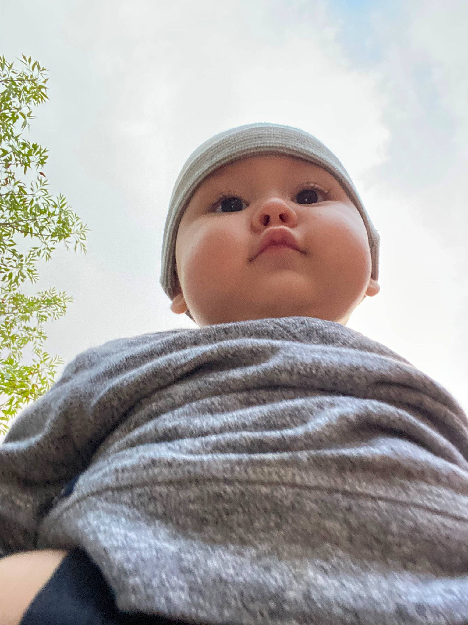 Kai is registered to the contest to win money with this photo: baby, cheek, child, cloud, eye, fur, grass, grey, headwear, hoodie, lip, nose, person, portrait_photography, sitting, sky, toddler, tree, winter, wool