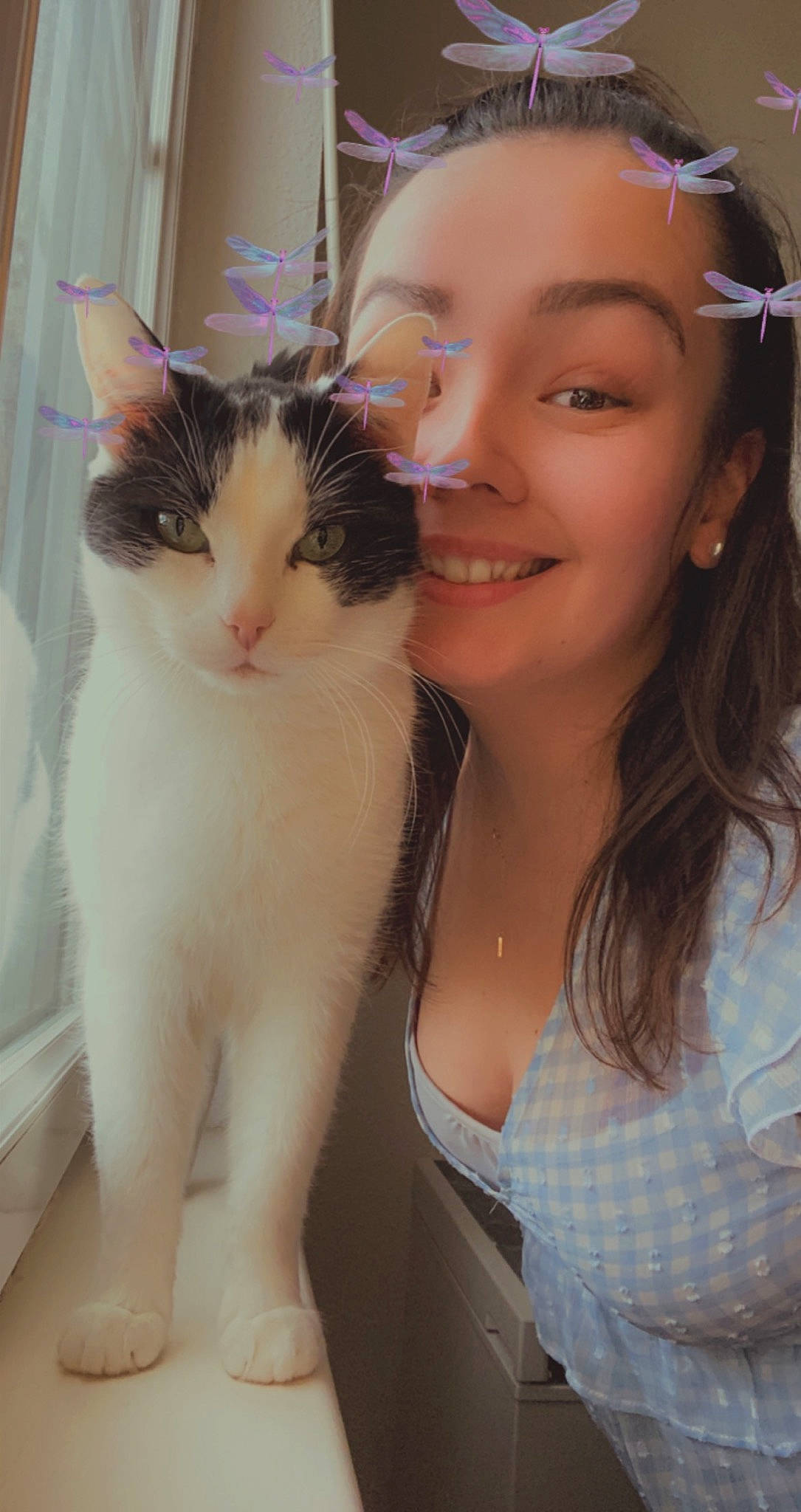 Rofils a rejoint le concours — aidez-le/la à gagner de superbes lots ! carnivore, cat, domestic_short_haired_cat, eye, eyelash, fashion_accessory, felidae, fur, gesture, happy, headband, iris, jaw, jewellery, long_hair, nose, small_to_medium_sized_cats, smile, t_shirt, whiskers