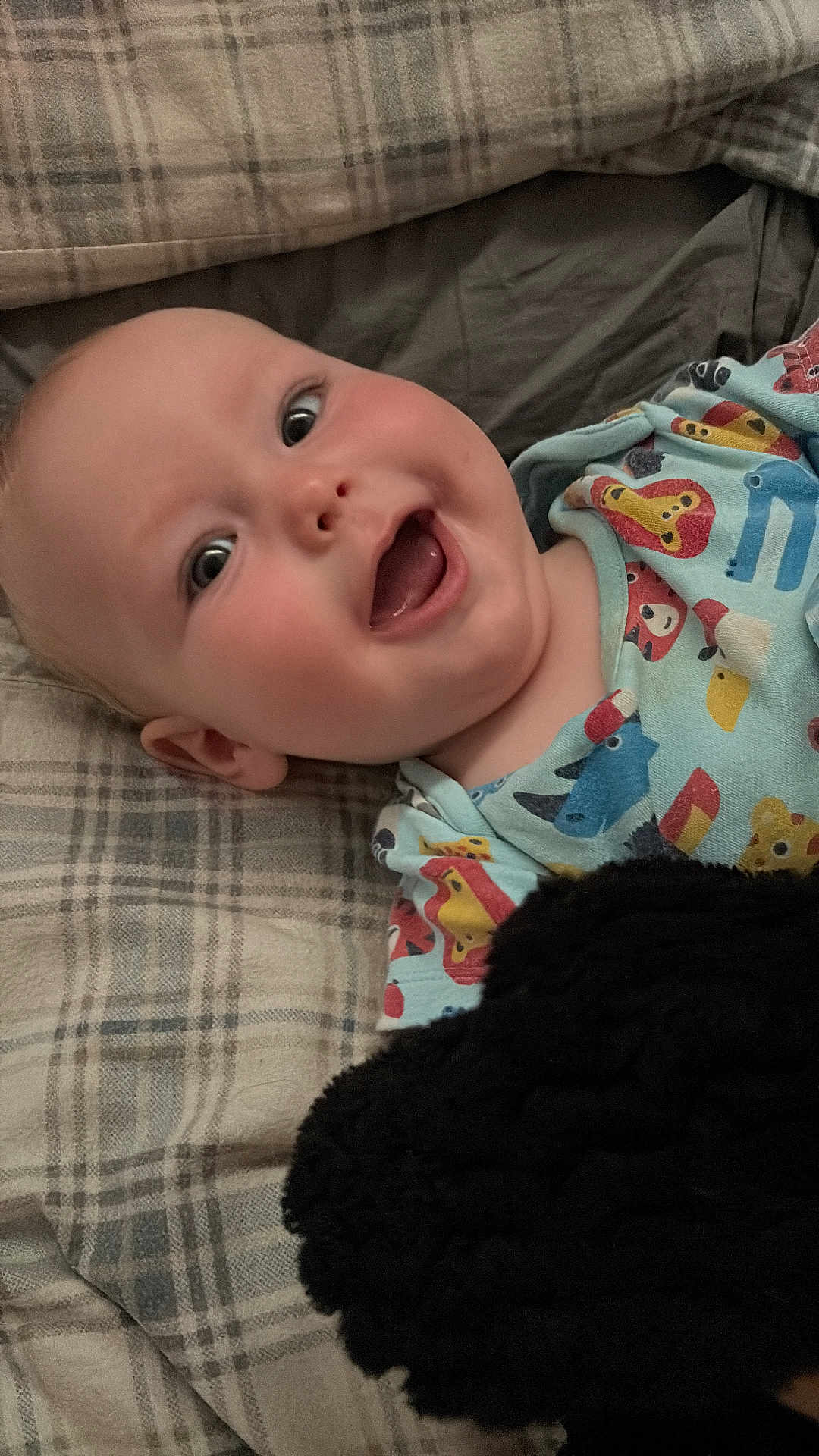 Thomas joined the competition — help win amazing prizes! baby, infant, smiling, face, plaid_blanket, onesie, animal_print, lying_down, happy, child, soft_texture, black_fabric, cute, cheerful, indoors, closeup, head, expression, playful, young