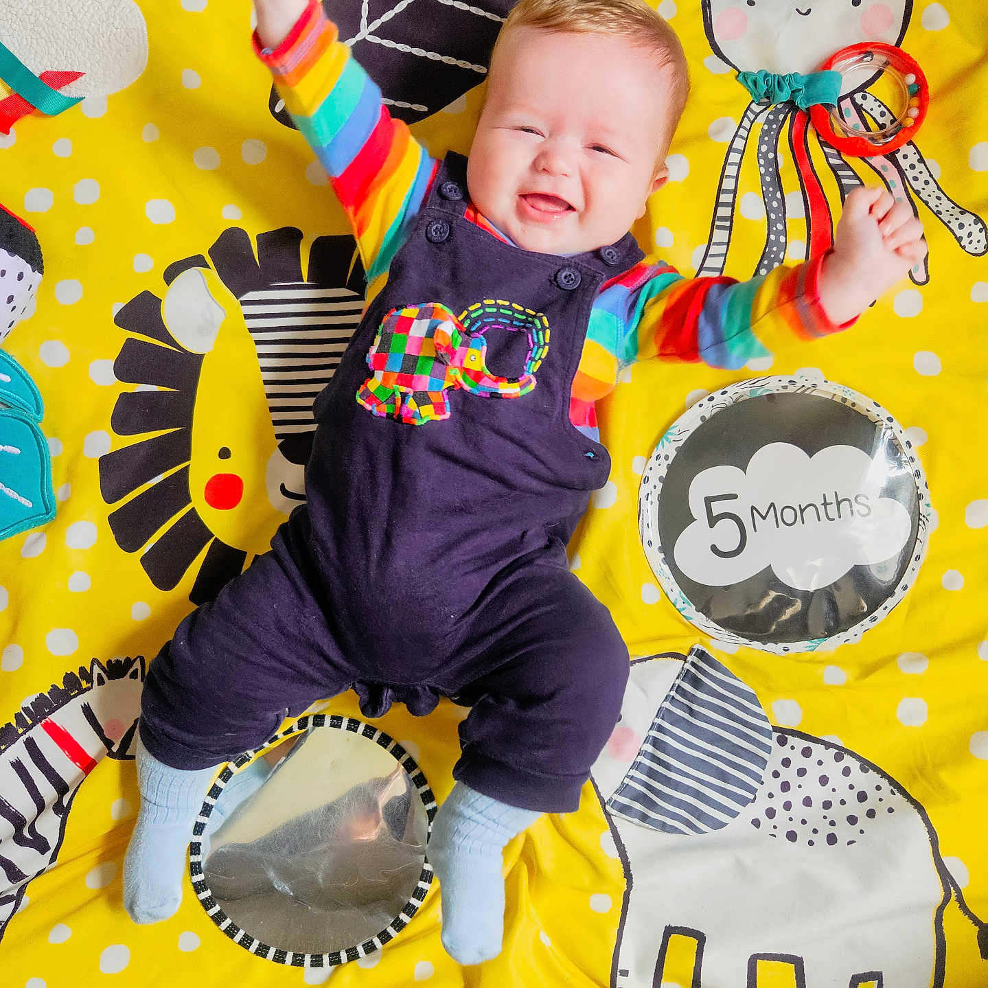 Dougie is registered to the contest to win money with this photo: baby, blue_socks, child, colorful_clothing, cute, elephant, happy, indoor, infant, lion, mirror, octopus, overalls, playmat, raised_arms, smiling, striped_shirt, toy, yellow_background, zebra