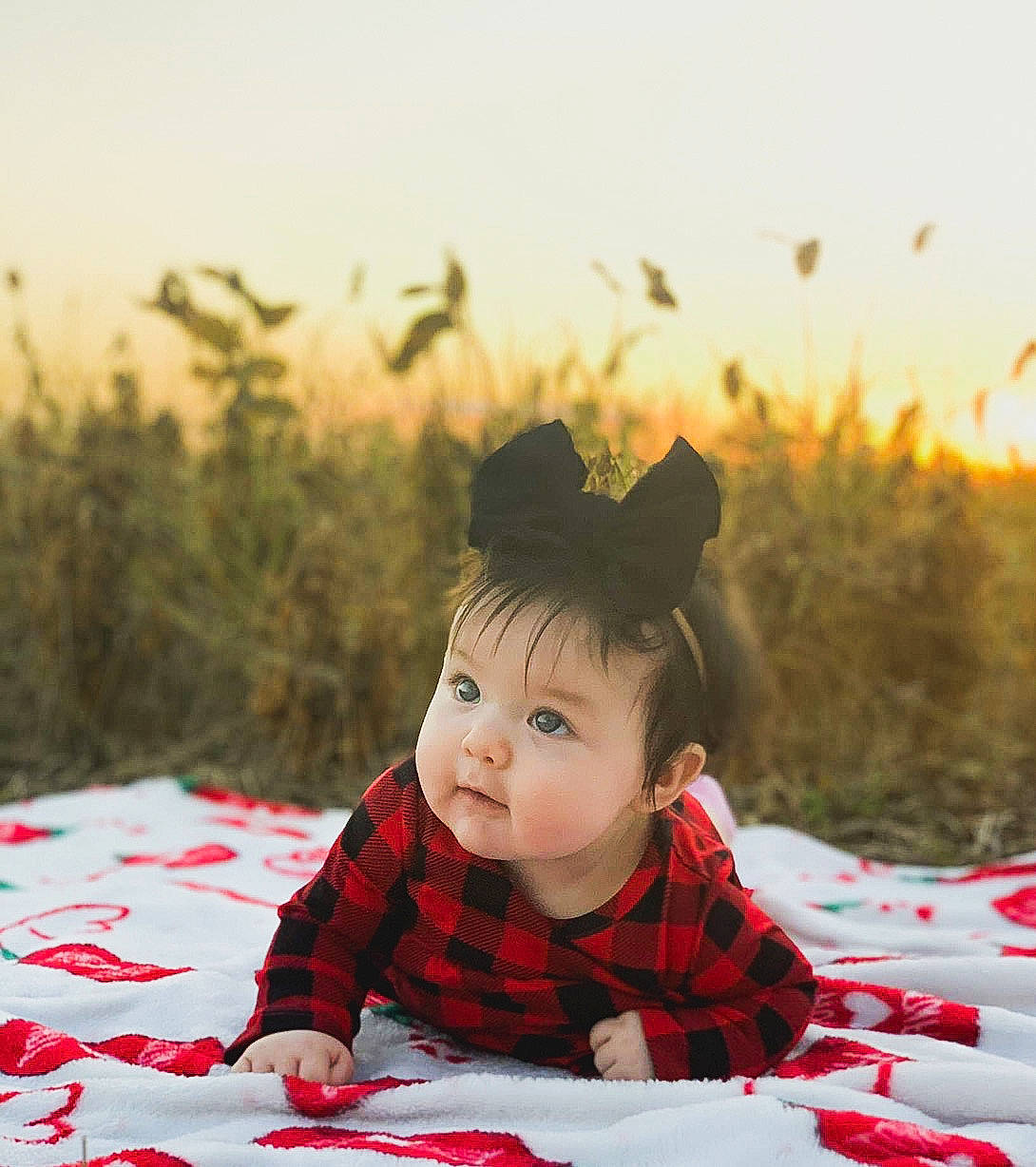 Leylah joined the competition — help win amazing prizes! carmine, child, event, fun, grass, happy, leisure, linens, pattern, people_in_nature, person, plaid, recreation, sitting, sky, sleeve, smile, tartan, toddler, toy