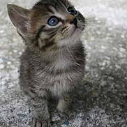 Eineken participe au concours pour gagner de l'argent avec cette photo :