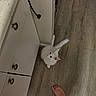Yuki is registered to the contest to win money with this photo: animal, barefoot, bathroom, cabinet, cat, curious, cute, domestic_animal, door_knob, feline, floor, fluffy, foot, fur, home, indoors, looking_up, pet, white_cat, wooden_floor