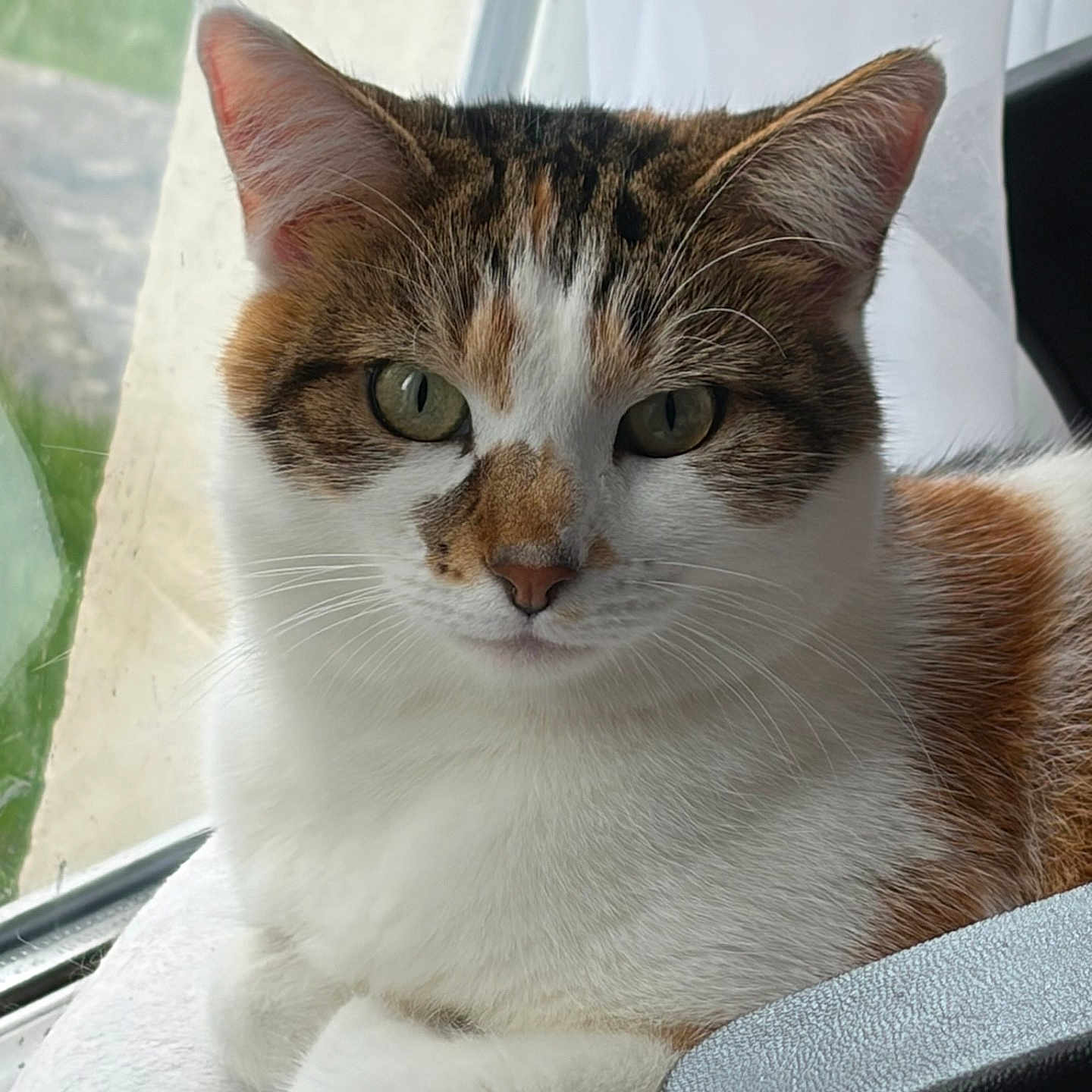 Ruby