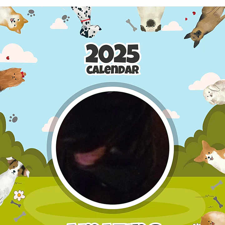 Luna joined the competition — help win amazing prizes! adult, advertisement, animal, bear, bird, canine, cat, disk, dog, face, female, file, head, page, person, pet, pig, poster, text, woman