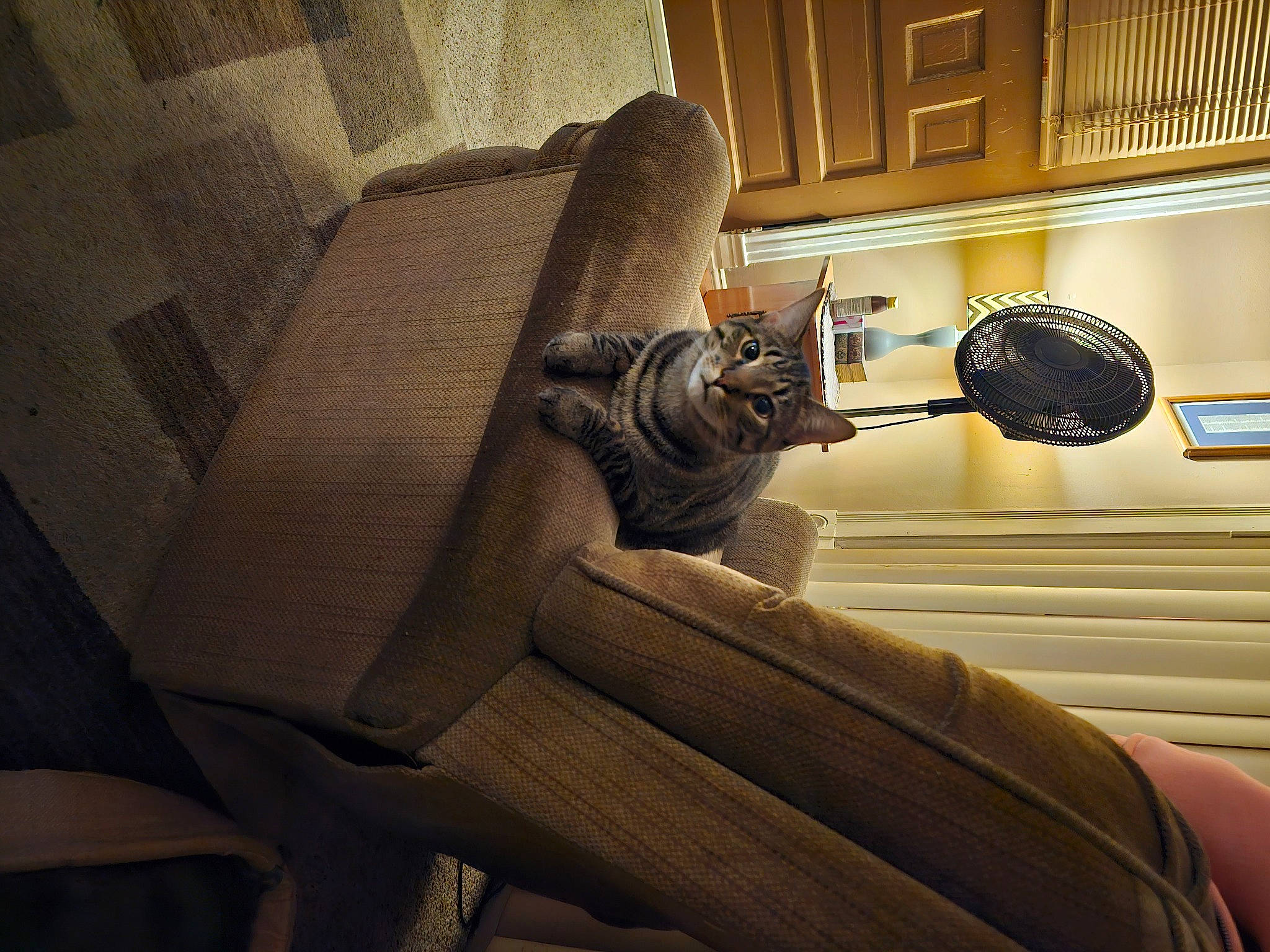 Chance joined the competition — help win amazing prizes! armrest, auto_part, automotive_design, car_seat, comfort, darkness, door, door_handle, human_leg, luxury_vehicle, machine, metal, personal_luxury_car, personal_protective_equipment, room, sitting, steering_wheel, tints_and_shades, vehicle_door, wood